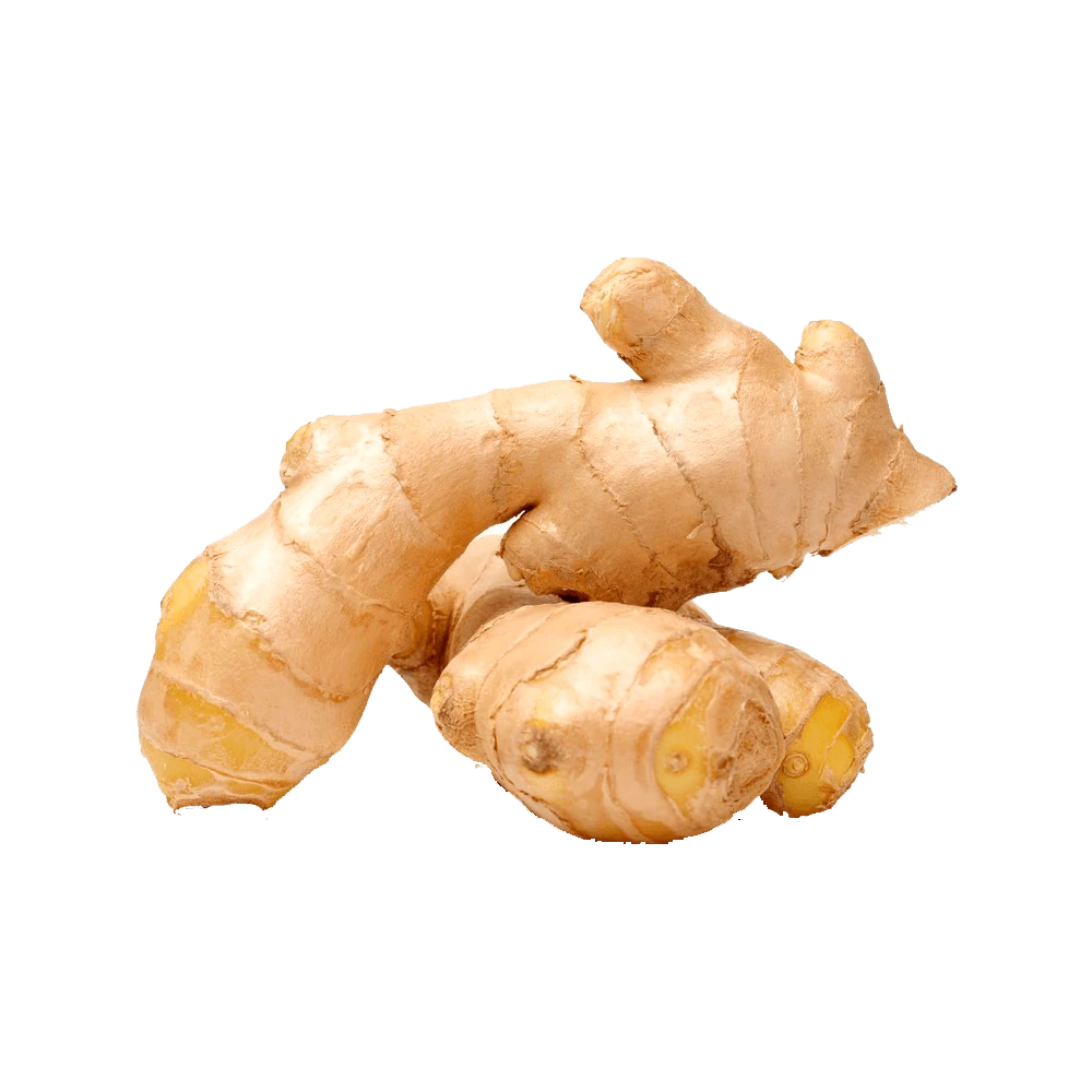Raiz de gengibre fresca